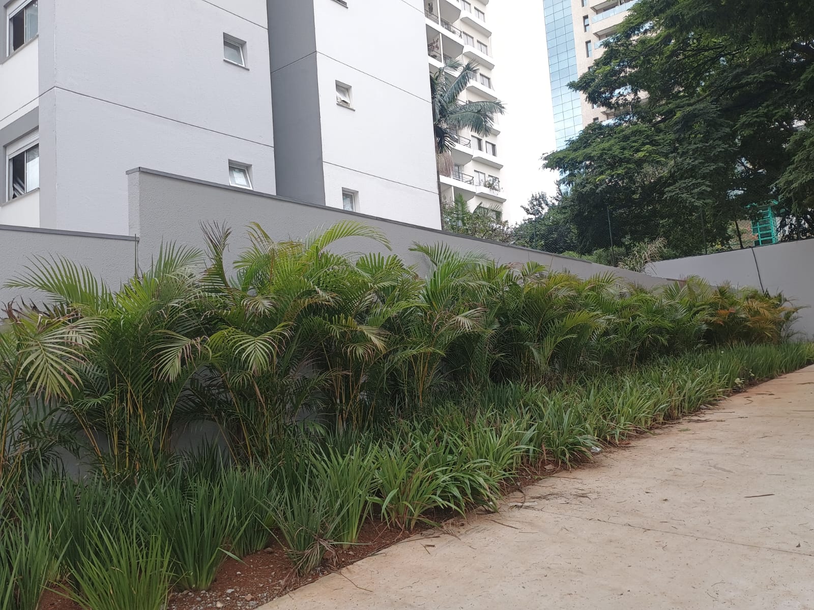 Fotos da Obra